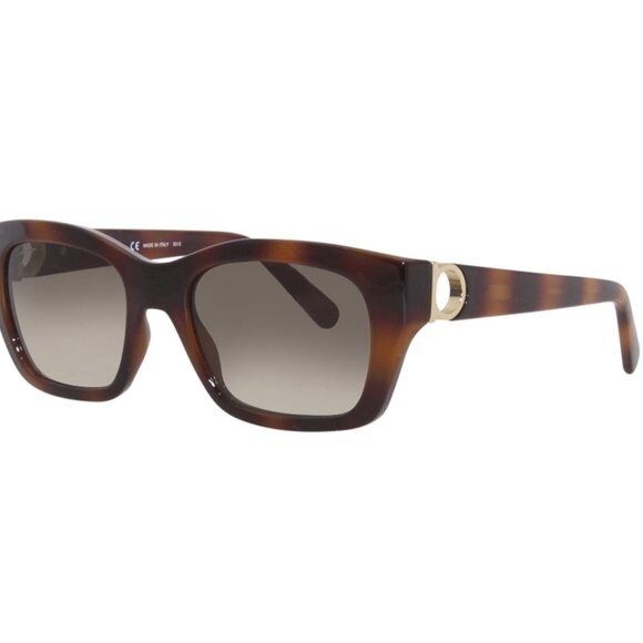 Salvatore Ferragamo Women\'s Tortoise Shell SF1012S 53mm Sunglasses main image 5